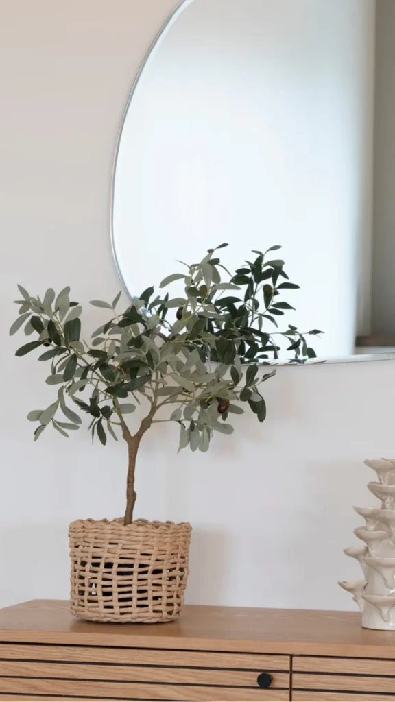 japandi console table styling small olive tree terracotta pot sole object clear wood surface 2026